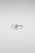 Double shine ring