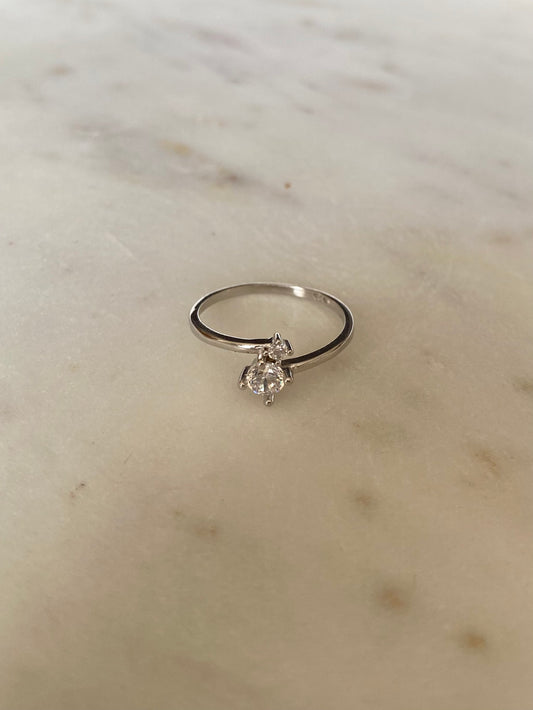 Anillo doble brillo