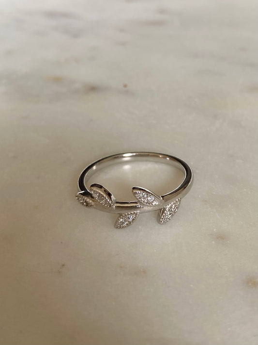 Anillo roma