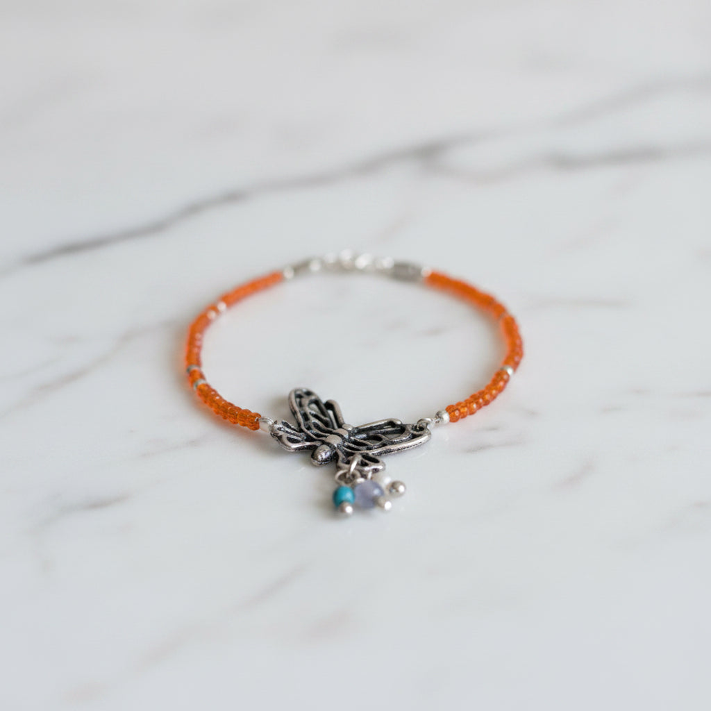Papillon solaris
