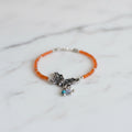 Papillon solaris